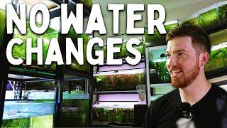 Hobbyist Fish Room with NO Water Changes | Full Tour