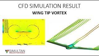 WING TIP VORTICES CFD RESULT