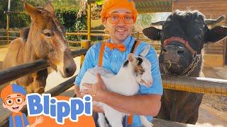 Blippi's Farm Animal Adventure | Best Animal Videos for Kids | Kids Songs and Nursery Rhymes