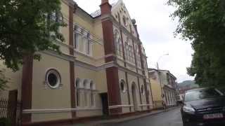 The old synagogue in sighet romania