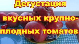 Сравнительная дегустация очень вкусных крупноплодных томатов