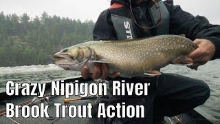 Crazy Brook Trout Action On The Nipigon River | Fish'n Canada