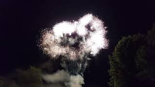 1.3g professional display cake firework demo