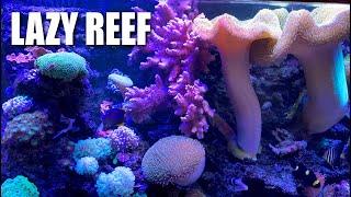 Reef keeping for lazy people. No water changes, minimal maintenance