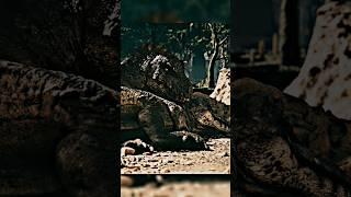 Ark aceneded edit | Ark |Ark ascended | #trex #acrocanthosaurus #giganotosaurus #fasola #edit #ark