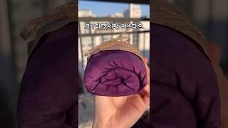 한국에서도 판다는 수건케이크!!