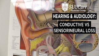 What is the Difference Between Conductive and Sensorineural Hearing Loss - SLUCare Audiology