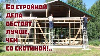 Про гибель скотины, продолжение строек и надежды на мёд!..