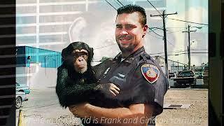 Travis The Deadly Chimpanzee!! This is why some animals should be left in the wild!