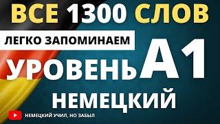 Немецкий А1-а1. Полный список всех слов уровня А1.