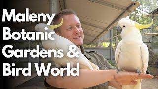 Your Parrot - A visit of the Maleny Bird World - Macaws, Cockatoos and other Parrots!