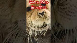 Seal vs. Polar Bear Clash #shorts #animals #bigcat #wildlife #bigcatswildlife #animalworld