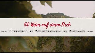 100 Weine auf einem Fleck | Der Schauweinberg im Remstal