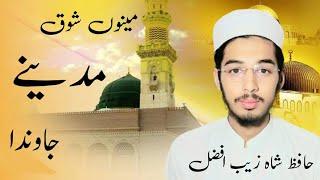 menu shoq madine jawan da |only islamic video | Hafiz Shahzaib Afzal| new naat sharif 2024 |City 533