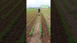 mini weeder #agritech #batterysprayer #brushcutter #telugu #tamil #farmer #agriculture #farming #diy