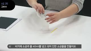 안다과학 11호1단계4주 경험하기