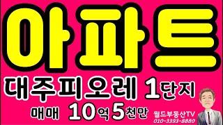 아파트 매매 10억5천만 대주피오레1단지 월드부동산TV 392