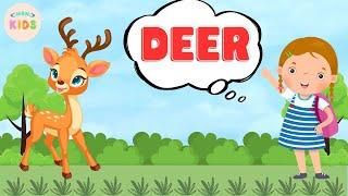 Deer Facts For Kids  Learn All About Deers | MON Kids