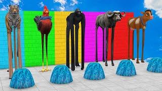 Long Slide Game With Elephant Gorilla Buffalo Hippopotamus Tiger - 3d Animal Game - Funny 3d Animals