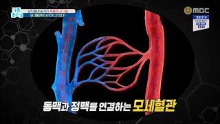 [HEALTHY] Capillaries healthy self-diagnosis!, 기분 좋은 날 20200220