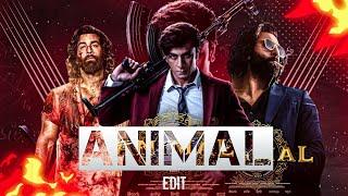 ANIMAL : The Story of a Son️‍& Director : Sandeep Reddy Vanga | KABIR SINGH | ARJUN REDDY