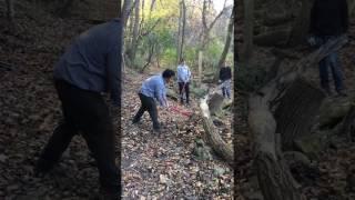 Identified Technologies - Volunteering for Pittsburgh Parks Conservancy - Beware the Blast Zone