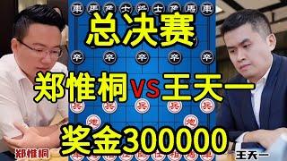 郑惟桐vs王天一 2022上海杯总决赛 冠军30万 巅峰对决【四郎讲棋】