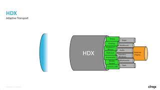 Tech Insight - HDX Display and Adaptive Technologies