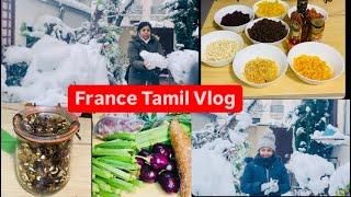 தமிழில் ~Special day /christmas cake mix Soaking /Shopping / playing snow/Tamil Vlog/ life in France