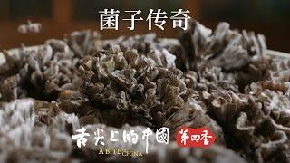 【《舌尖上的中國》第四季】探秘雲南昆明木水花市場：中國70%的野生菌美味都從這裡啟程！ | 舌尖上的中國 A Bite of China