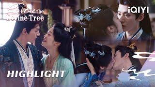 HIGHLIGHT：Su & Ran share a passionate kiss️| EP30-35 | Love of the Divine Tree | iQIYI Romance