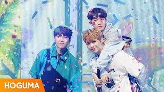 워너원 트리플포지션 (Wanna One Triple Position) '캥거루 (Kangaroo)' 교차편집 (Stage Mix)