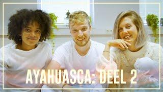 Ayahuasca Special part 2: the ceremony | Drugslab