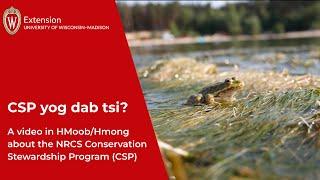 CSP yog dab tsi? (What is CSP?)