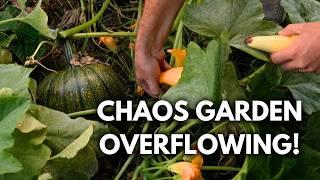 We Tried Chaos Gardening and Were SHOCKED at The Results