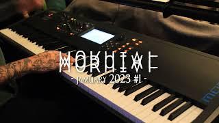 Moruial - #jamuary2023 1