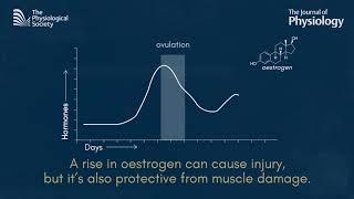 How can the menstrual cycle affect athletic performance?