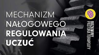 MECHANIZM NAŁOGOWEGO REGULOWANIA UCZUĆ (HD) @jarekwasilewskirozkminypas3011