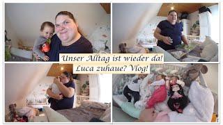 Zurück im Alltag! Luca zuhause? Geschenke! || Vlog! || Reborn Baby Deutsch || Little Reborn Nursery