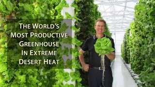 The World’s Most Productive Greenhouse in Extreme Desert Heat