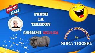  FARSE LA TELEFON- PORCUL VASILE ESTE SCUMP - PAMFLET  #farse #farsetiktok #romania #viral #umor