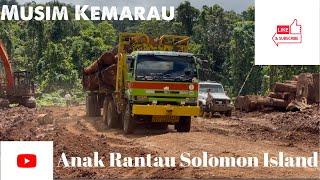 Aktiviti Logging Musim Kemarau di Kepulauan Solomon Island//Kayu Bertimbun di Landing Area//