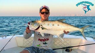 Dubai Fishing Trip