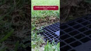 Yard Drainage Solutions: Effective Ways To Solve Water Runoff Issues #shorts