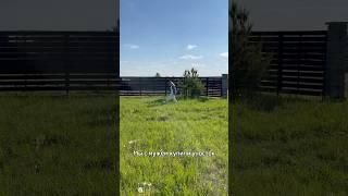 Купили участок 6 соток, чтоб построить дом своими руками