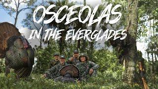 Beau Hunting - South Florida Opener "The Best Osceolla Hunting I Have Ever Seen"