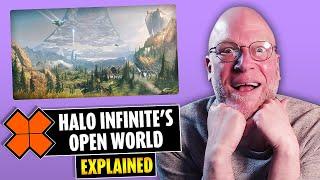 Halo Infinite's Open World Explained | Xplay