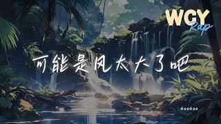 GooGoo - 可能是风太大了吧「可能是风太大了吧 眼泪才会止不住的流」【動態歌詞/Lyrics Video】#GooGoo #可能是风太大了吧 #動態歌詞