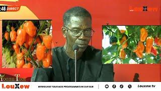 Le Prof Malick Sow agroécologiste nous parle de La transition agroécologie au agriculture moderne.