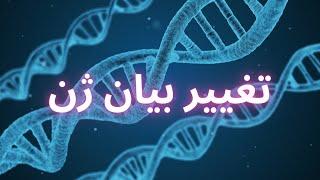 بزرگ ترین راز بزرگ چربی سوزی || متد کاهش وزن اصولی با ذهن